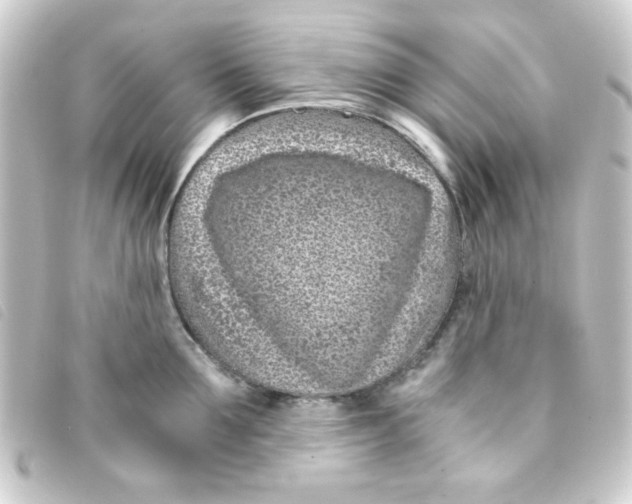 X0000093230907200710241233