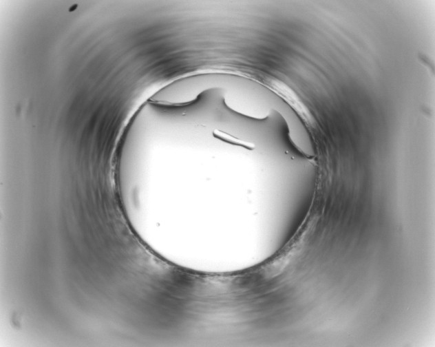 X0000093230908200710241233