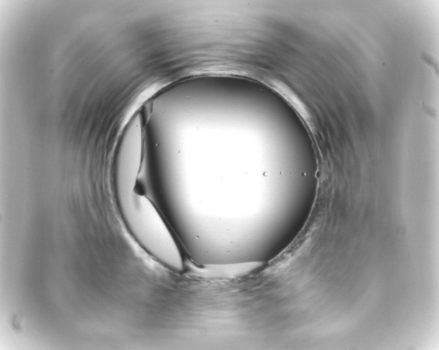 X0000093230909200710241233