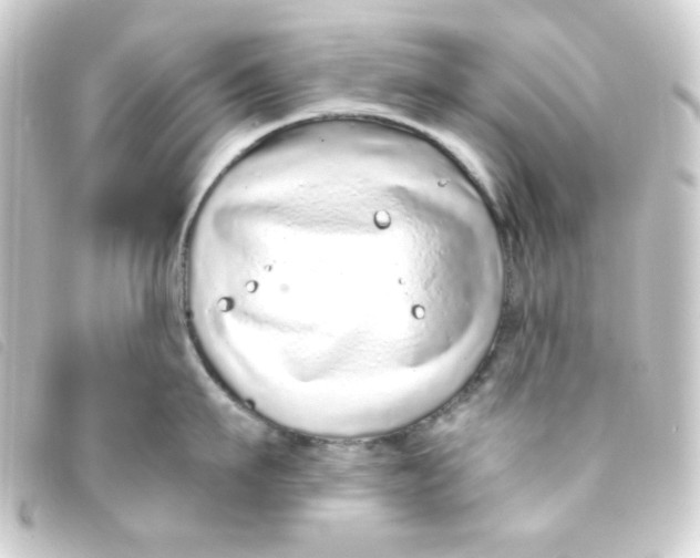 X0000093230911200710241233