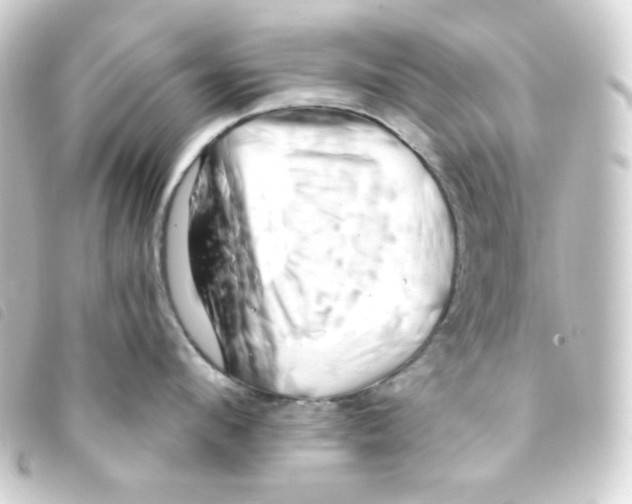 X0000093230912200710241233