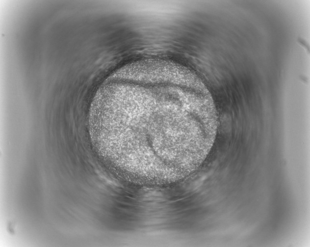 X0000093230913200710241233