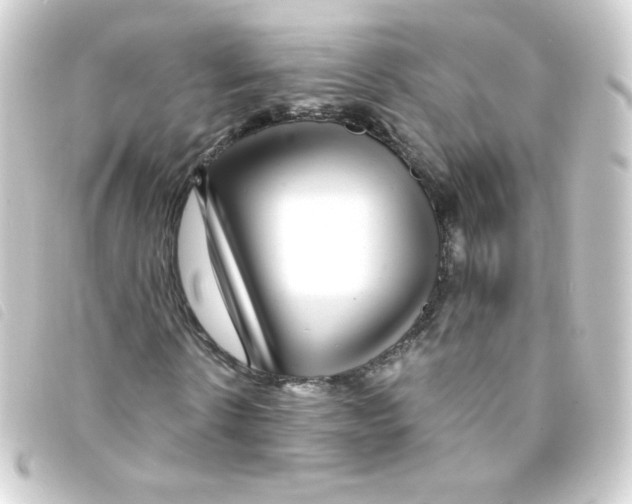 X0000093230914200710241233