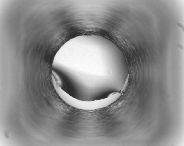 X0000093230916200710241233