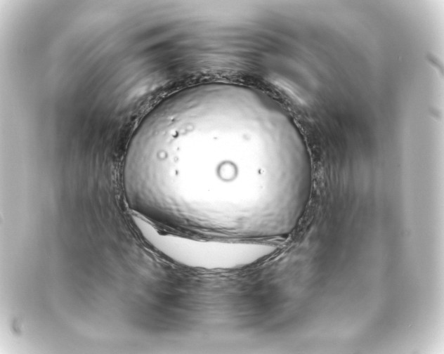 X0000093230917200710241233