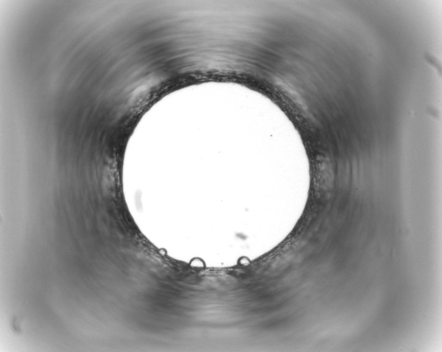 X0000093230918200710241233