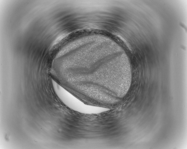 X0000093230919200710241233