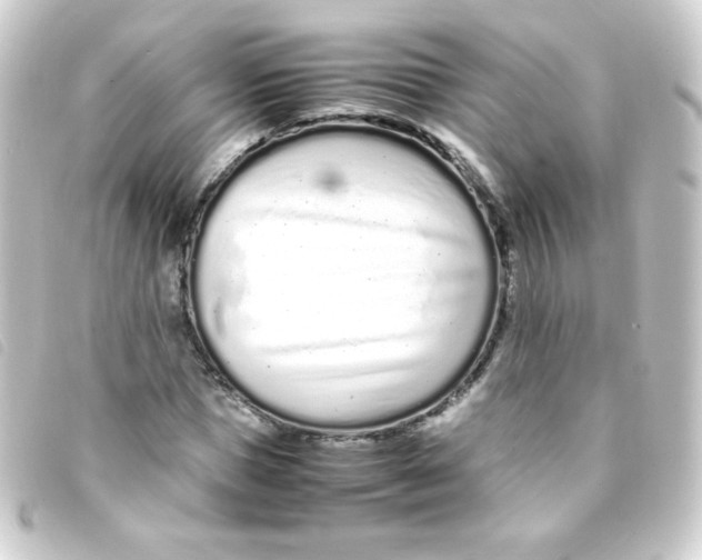 X0000093230921200710241233