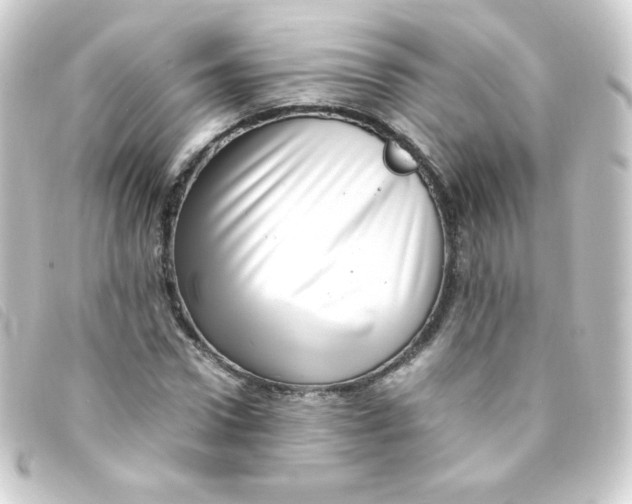 X0000093230922200710241233