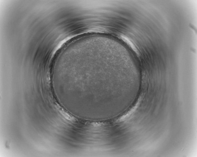 X0000093230923200710241233