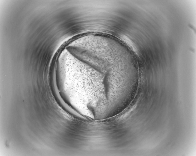 X0000093230924200710241233