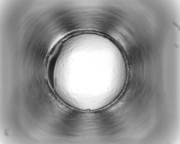 X0000093230925200710241233