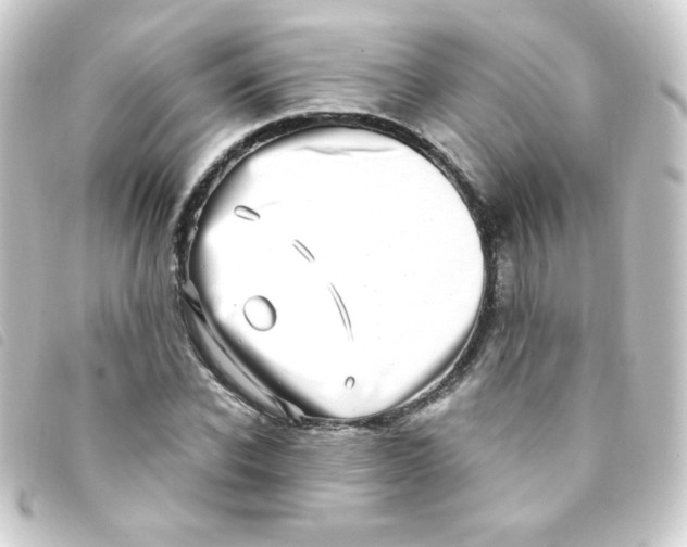 X0000093230926200710241233