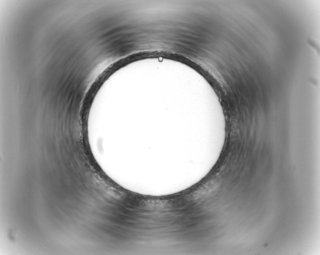 X0000093230927200710241233