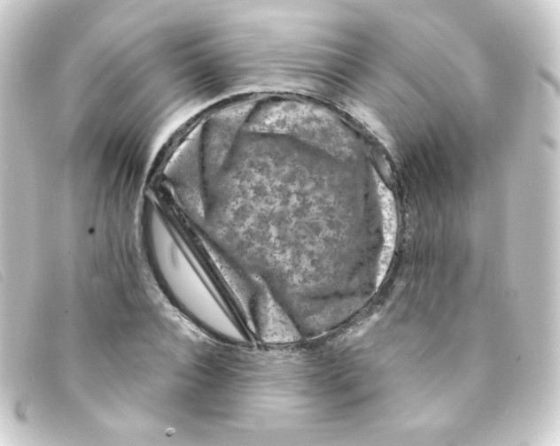 X0000093230928200710241233