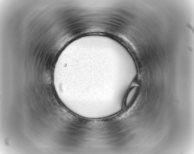 X0000093230929200710241233