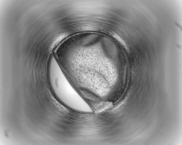 X0000093230930200710241233