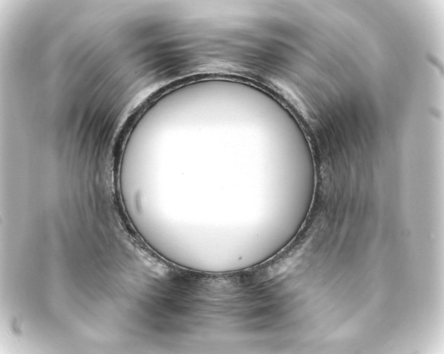 X0000093230931200710241233