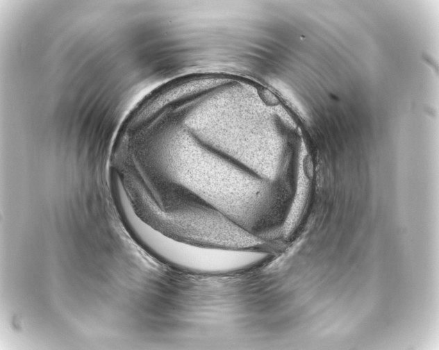 X0000093230932200710241233