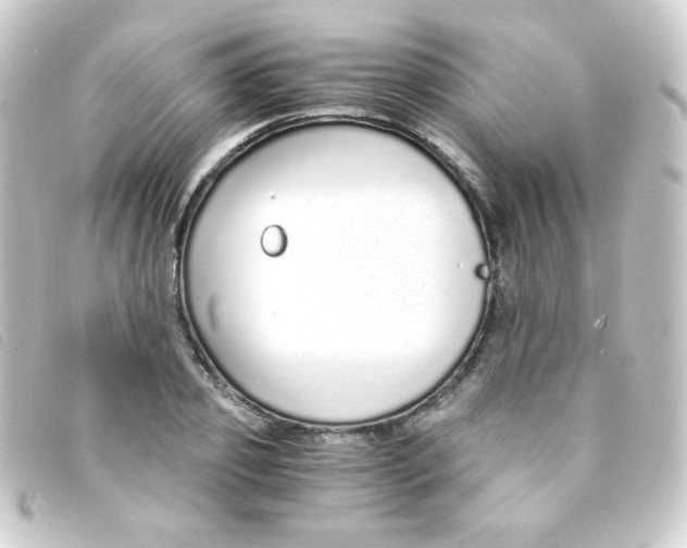 X0000093230933200710241233