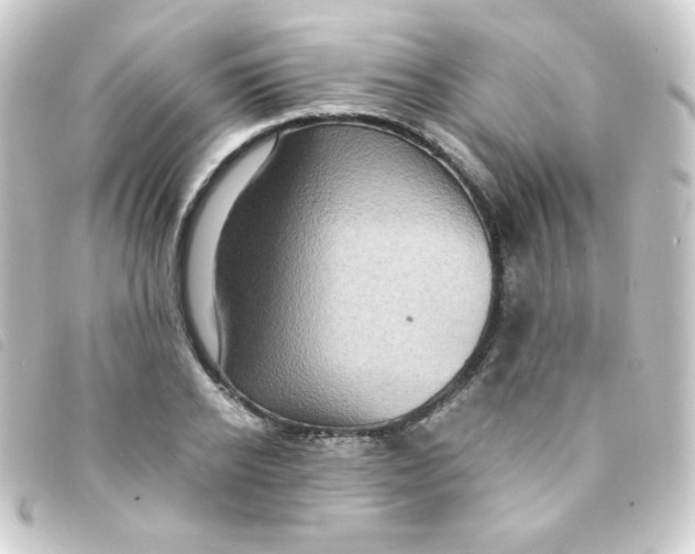 X0000093230934200710241233