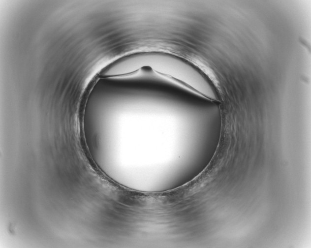 X0000093230936200710241233