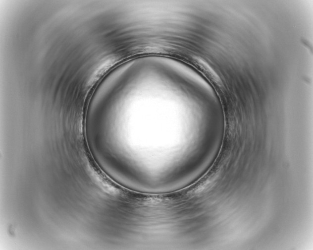 X0000093230938200710241233