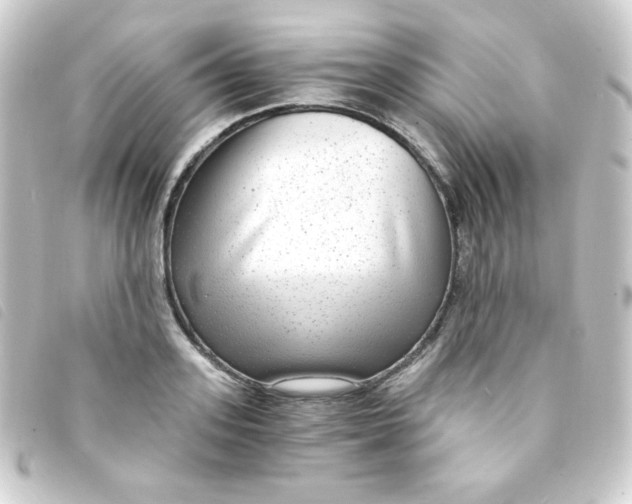 X0000093230939200710241233