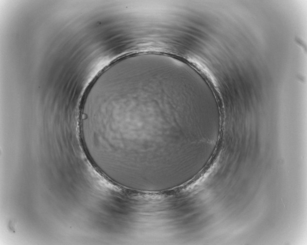 X0000093230941200710241233