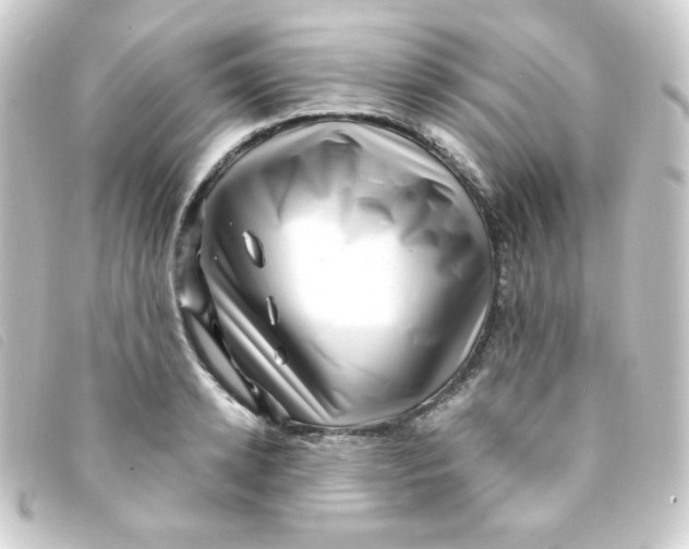 X0000093230942200710241233