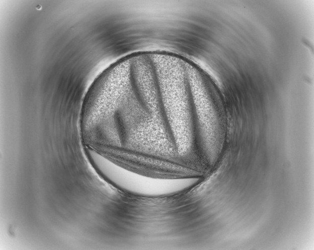 X0000093230943200710241233