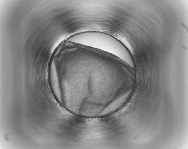 X0000093230944200710241233