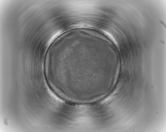 X0000093230946200710241233