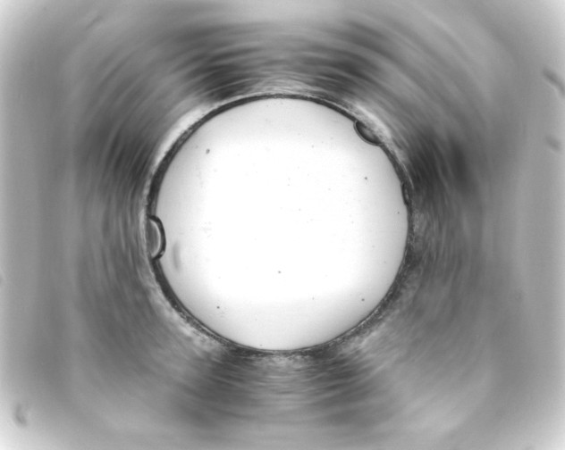 X0000093230947200710241233