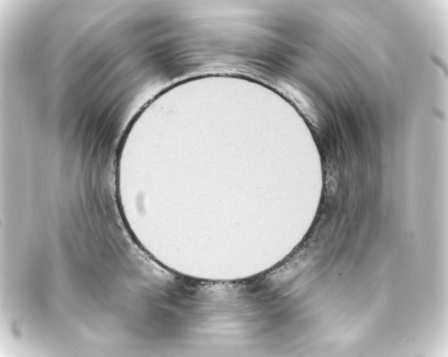 X0000093230950200710241233