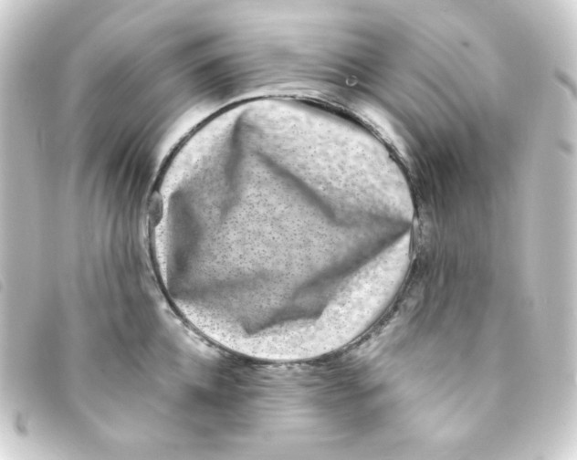 X0000093230952200710241233