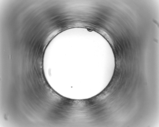 X0000093230954200710241233