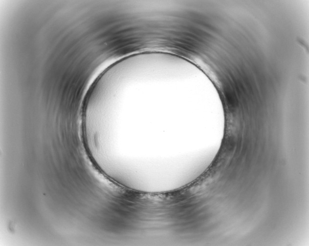 X0000093230955200710241233