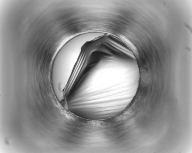 X0000093230956200710241233