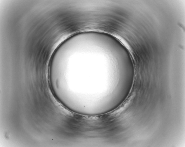 X0000093230957200710241233