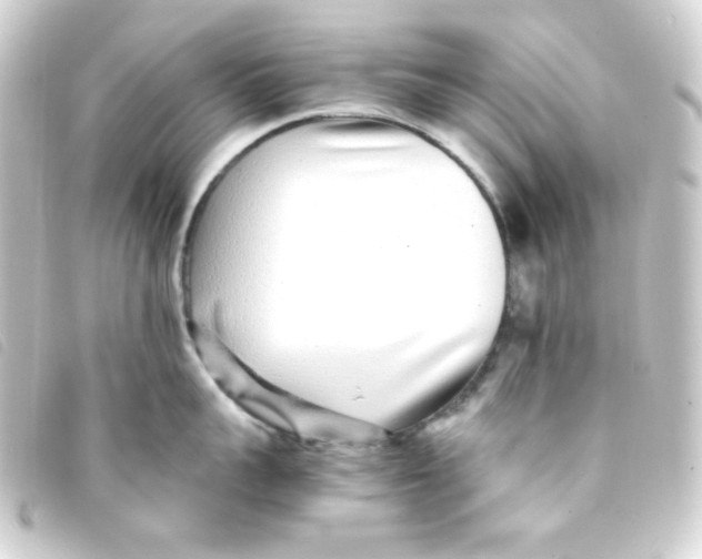 X0000093230959200710241233