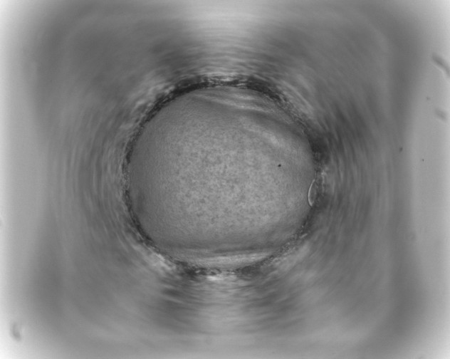 X0000093230961200710241233