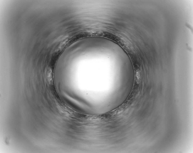 X0000093230963200710241232