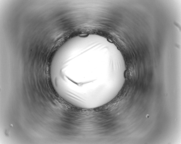 X0000093230964200710241232