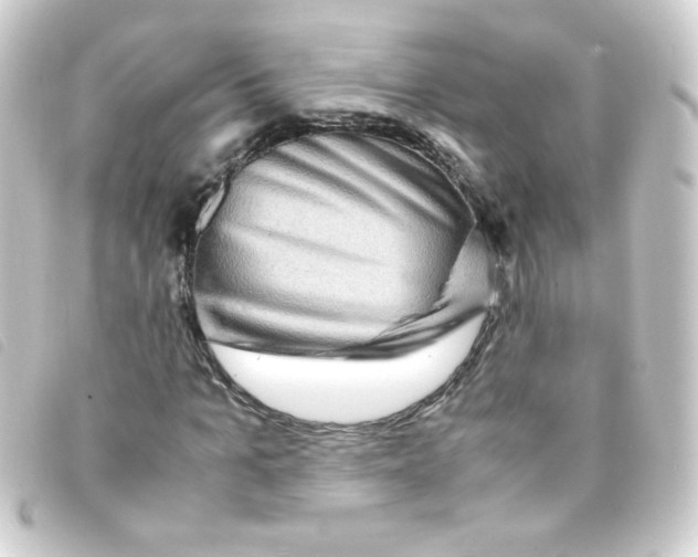 X0000093230965200710241232