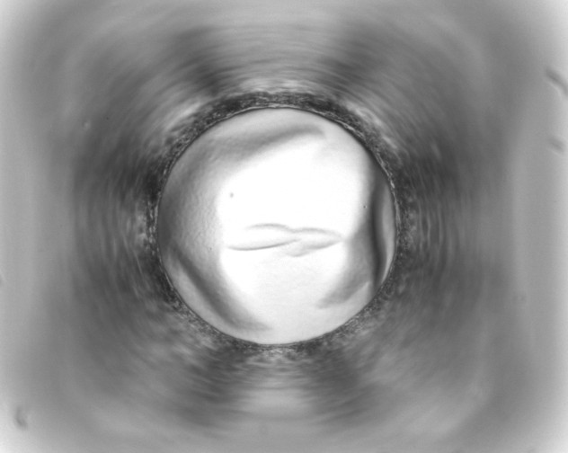 X0000093230966200710241232