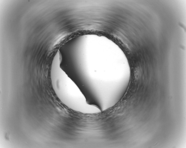 X0000093230968200710241232