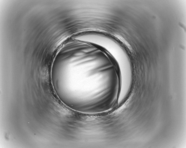 X0000093230969200710241232