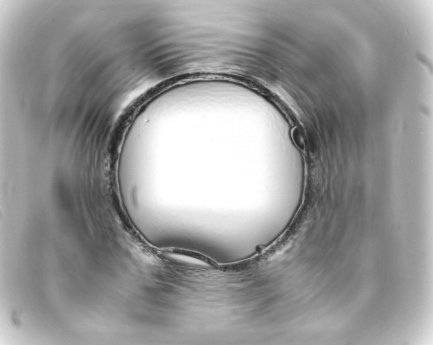 X0000093230971200710241232