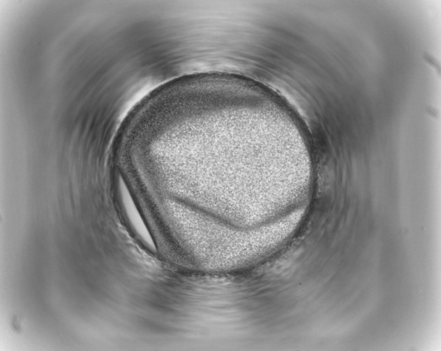 X0000093230975200710241232